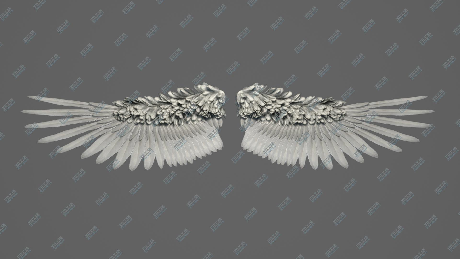 images/goods_img/2021040233/3D Angel Wings/4.jpg